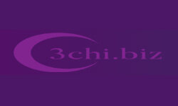 3chibiz.com