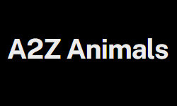 Животные A2z (a2zanimals.com)