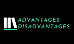 advantagesdisadvantages.org