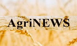 AgriNews (agrinews.com.ua)