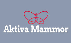 aktivamammor.se