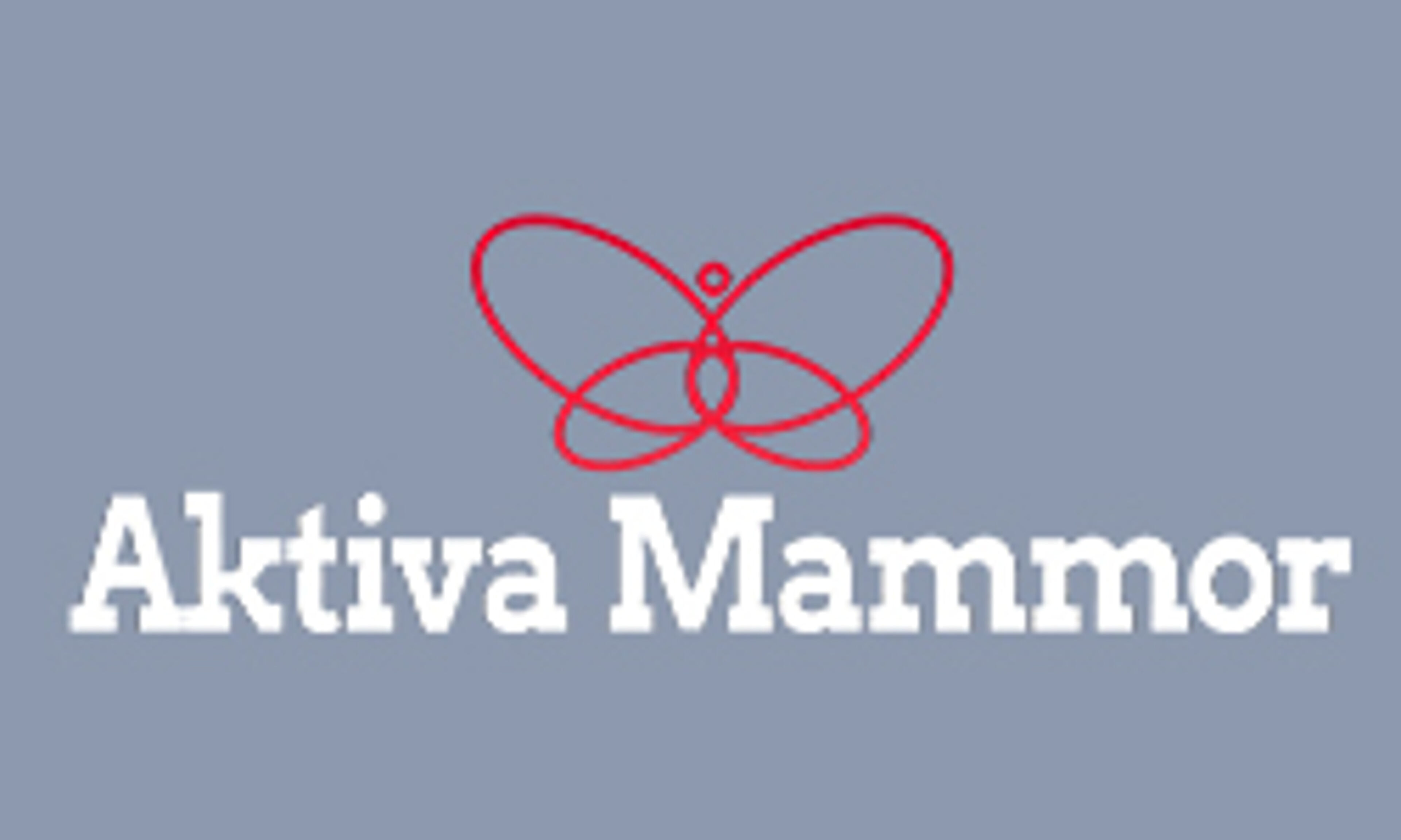aktivamammor.se