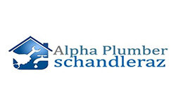 alphaplumberschandleraz.com
