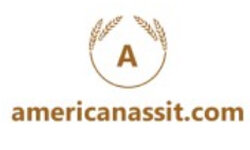 americanassit.com