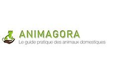 Animagora (animagora.fr)
