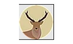 Djur tid (animalstime.com)