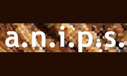 anips.net