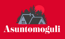 asuntomoguli.fi