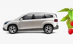 Automalinovka (automalinovka.com)