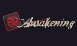 awakeningfighters.com
