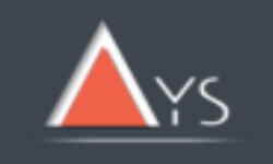 ays-pro.com