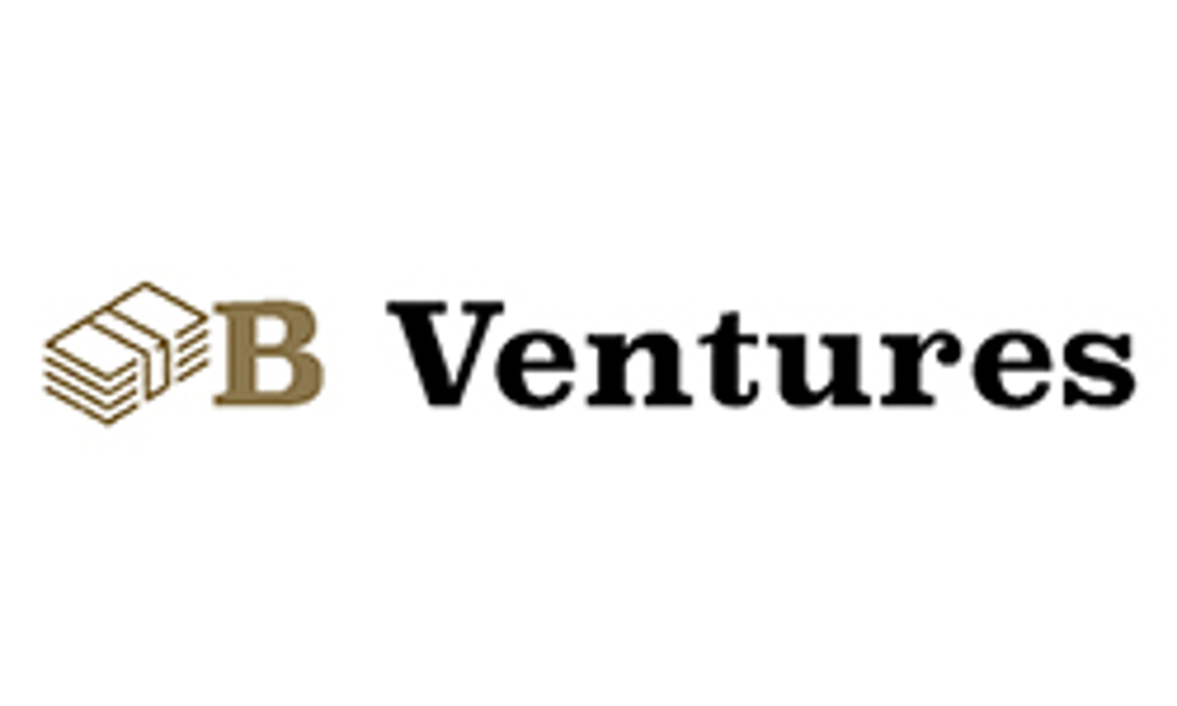 b-ventures.net