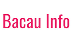 bacauinfo.ro