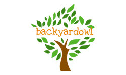 backyardowl.com