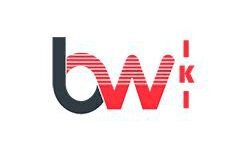 Bdsmwiki (bdsmwiki.org)