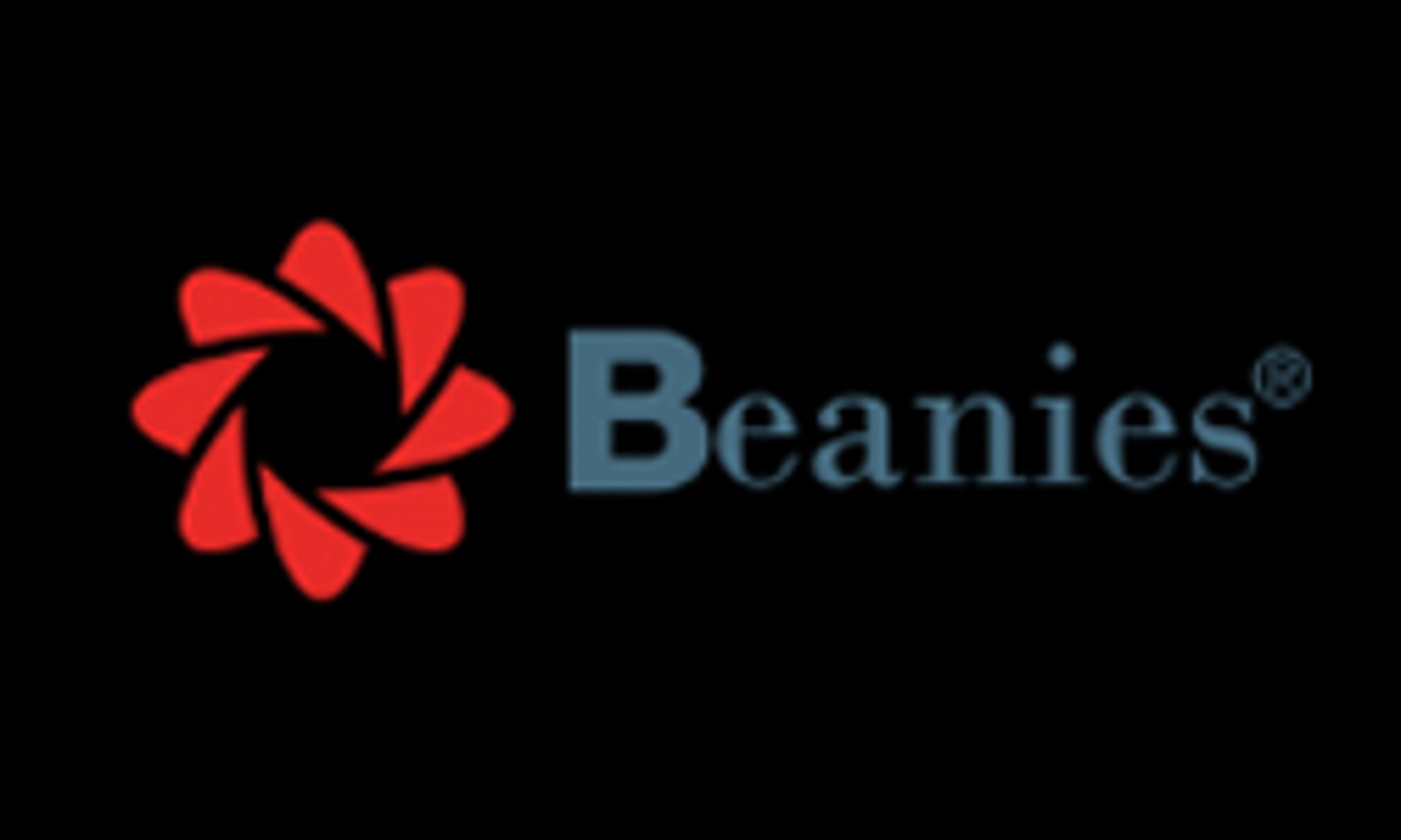 beaniesforbaghdad.com