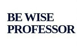 bewiseprof.com