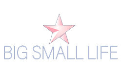 bigsmalllife.com