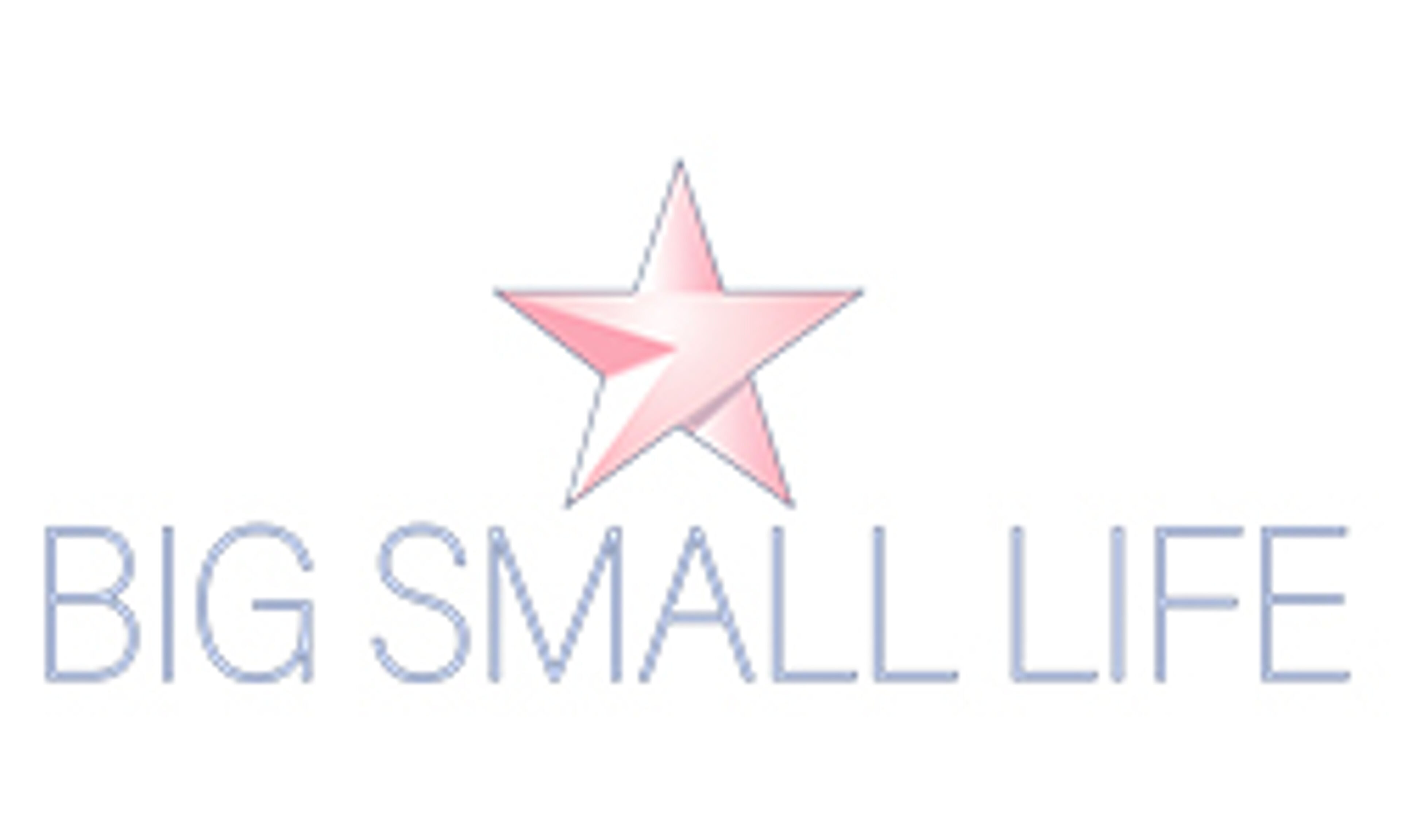bigsmalllife.com