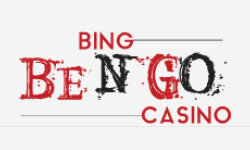 bingbengo.com
