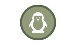 Полет птиц (birdsflight.com)