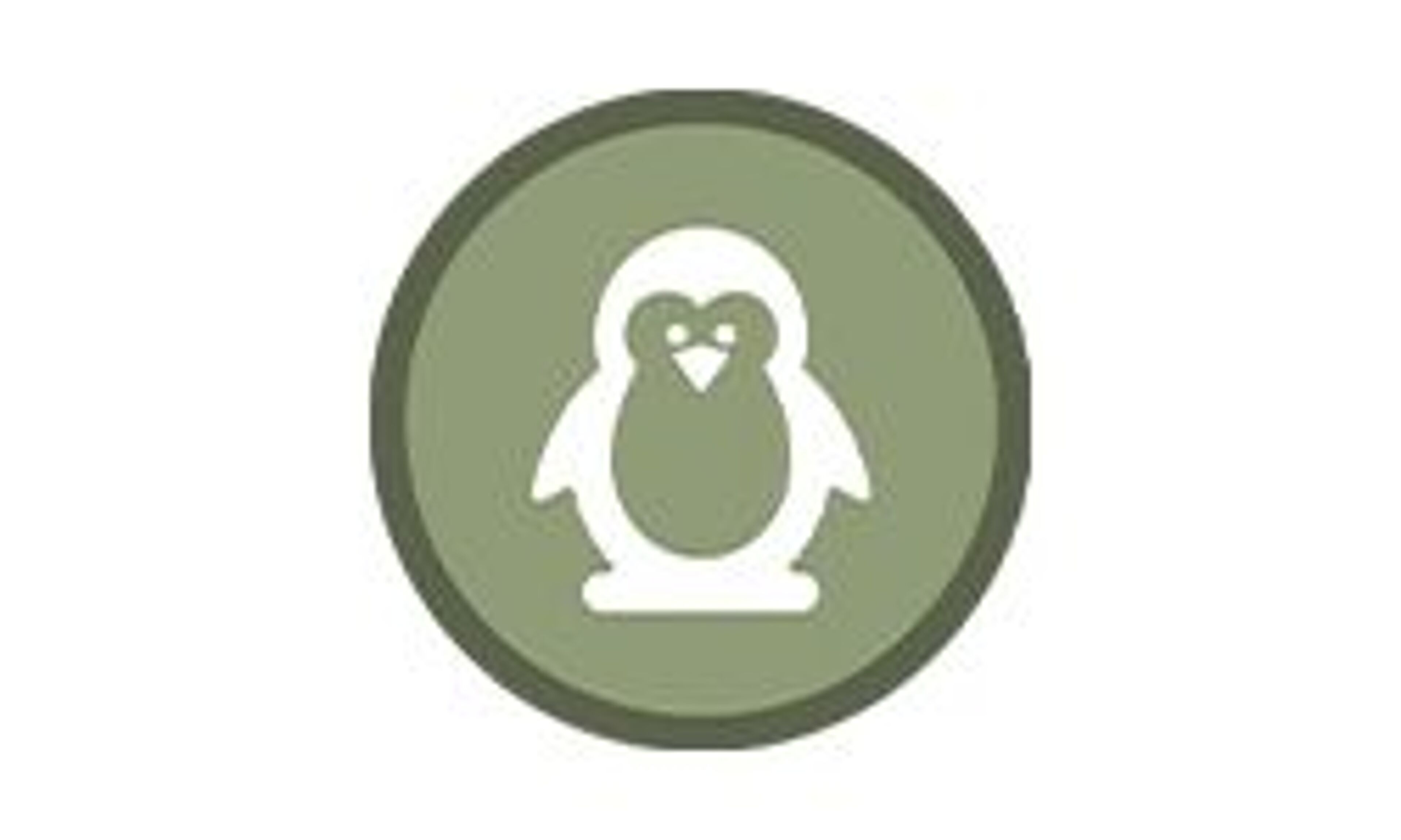 Полет птиц (birdsflight.com)