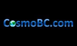 bizblog.cosmobc.com