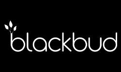 Bourgeon noir (blackbud.co.uk)