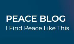 Blog der Friedensrevolution (blog.peacerevolution.net)