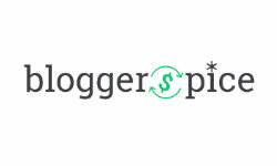bloggerspice.com
