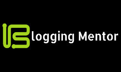 bloggingmentor.net