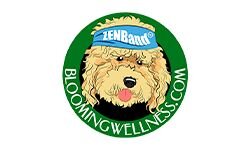 Цветущее благополучие (bloomingwellness.com)