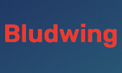 bludwing.net