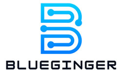 blueginger.it