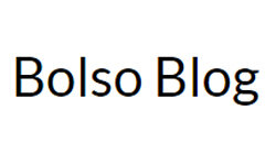 bolsoblog.com