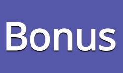 bonus.co.za