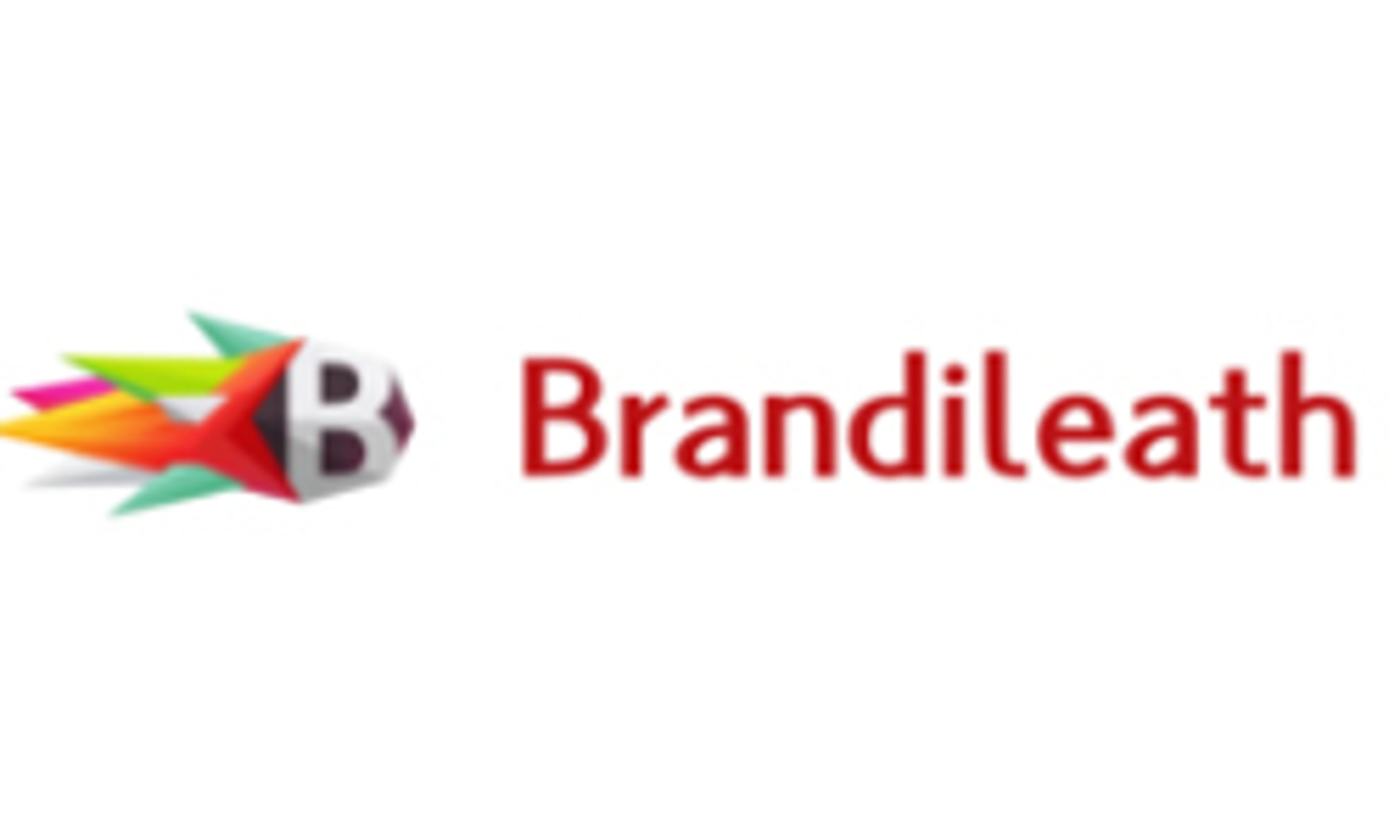 brandileath.com