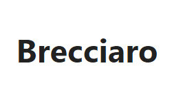 brecciaro.com