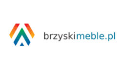 brzyskimeble.pl