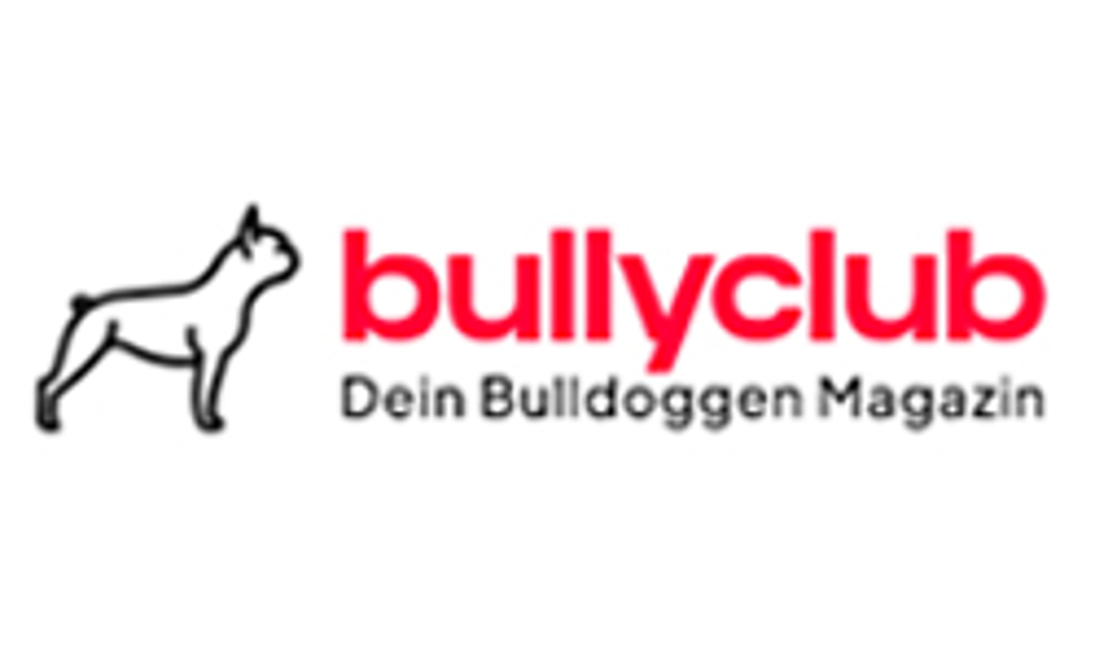 bullyclub.de