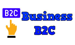 business-b2c.com