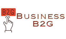 businessb2g.com
