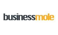 Деловой крот (businessmole.com)