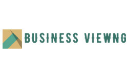 businessviewng.com