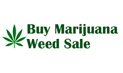 buymarijuanaweedsale.com