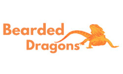 canbeardeddragons.com