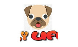 Catskill táborok (catskillcamps.com)