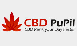 cbdpupil.com