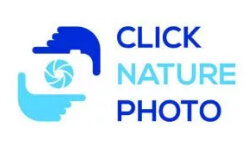 clicknaturephoto.com