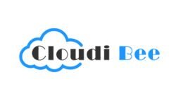 Cloudibee (cloudibee.com)